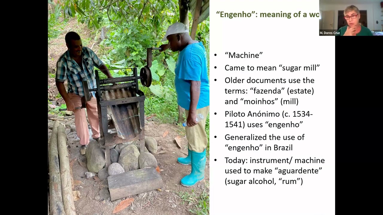 Sweet Hell of the Mill: The Archaeology of a Colonial Sugar Plantation