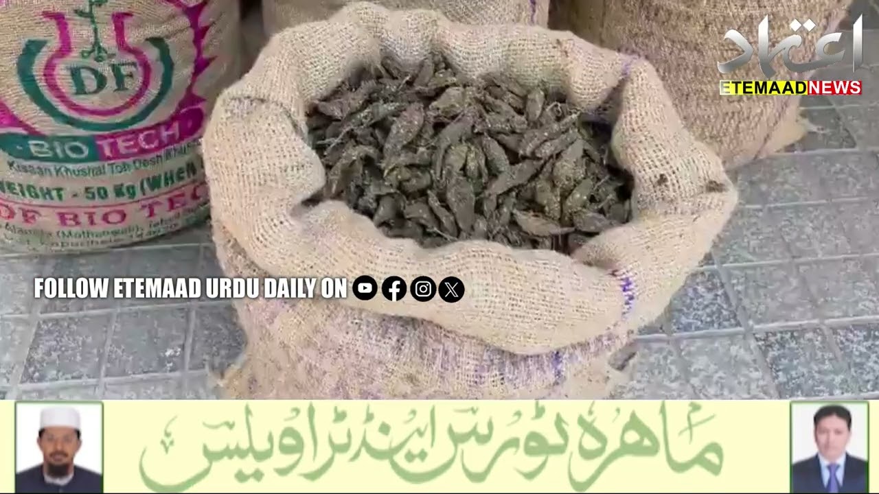 Hyderabad Police Seize 60 kg Ganja Worth ₹35 Lakh, Two Arrested In Joint Operation