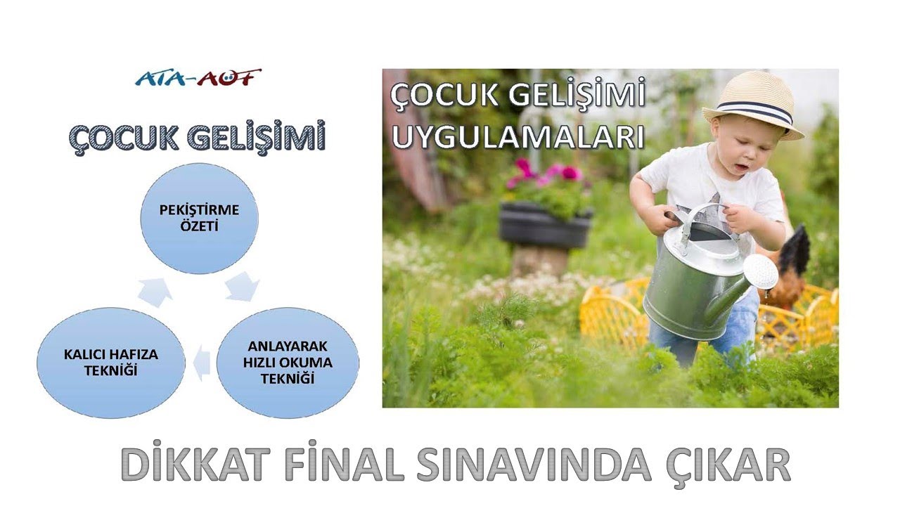 Çocuk Gelişimi Uygulamaları (Dikkat Final Sınavında Çıkar)