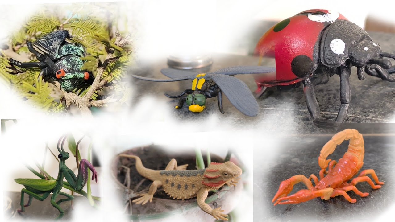 🪲 Amazing Insect Models for Kids | Learn Bug Names in English! 🐞🦗🕷️