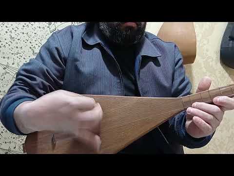حسن احسانی دوتار حسن تربت جام