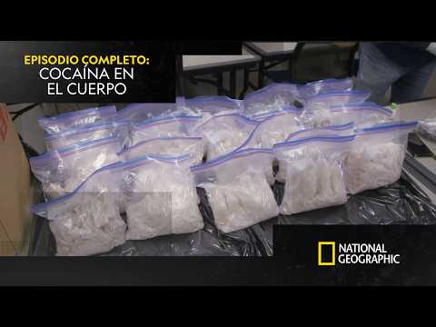 ¿Cuánta cantidad de droga se puede transportar en el cuerpo? | AEROPUERTOS | NATIONAL GEOGRAPHIC