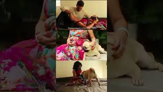 Cute maternity shoot #sniffstories #pets #viralshorts #puppies #pregnancy #ytshorts #petphotography Cute maternity shoot #sniffstories #pets #viralshorts #puppies #pregnancy #ytshorts #petphotography
