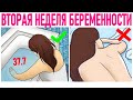 ВТОРАЯ НЕДЕЛЯ БЕРЕМЕННОСТИ | Что можно и нельзя делать на 2 неделе беременности