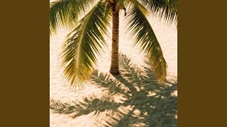 Under the Palm Tree Light