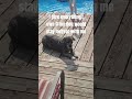 When You Know You Don T Have A Lot Of Time Left Together Dog Doglover Dogshort Subscribe Love When You Know You Don T Have A Lot Of Time Left Together Dog Doglover Dogshort Subscribe Love