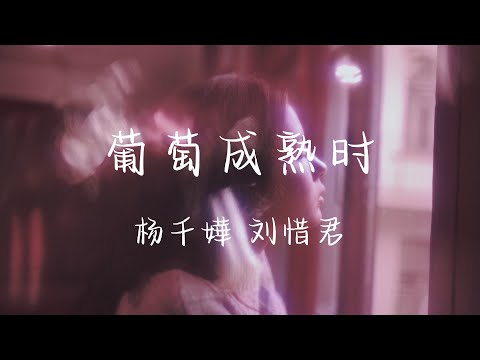 《葡萄成熟时》杨千嬅 刘惜君「我知日后路上或没有更美的邂逅，谁都辛酸过哪个没有」