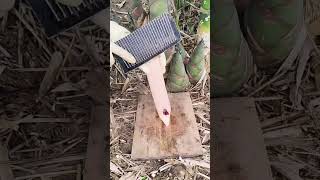 LR 320225776 mini rotary tilling and riding all-in one tree 🌳 short view