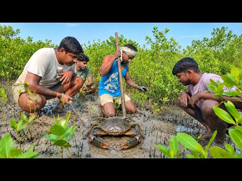 গভীর সুন্দরবনে খাঁড়ির পাড়ে গর্ত থেকে কাঁকড়া ধরার আসল কৌশল Sundarban crab hunting!!!