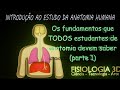 Aula 1 Os fundamentos que TODOS os estudantes de anatomia devem saber (parte 1)