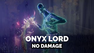 Onyx Lord [ Royal Grave Evergaol ] | Solo | No Damage | Elden Ring