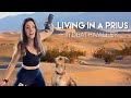 Prius Camping in the Desert &amp; stealth car living in VEGAS (Death Valley)