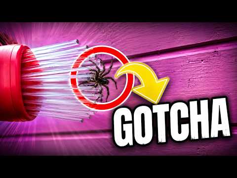 Catch spiders with ease with this spider catcher