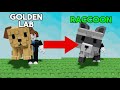 Trading from GOLDEN LAB to RACCOON in Grow a Garden (Roblox)