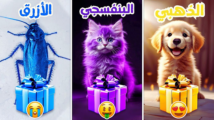 اختر هدية واحدة...! الذهبي أو البنفسجي أو الأزرق ⭐️💜💙