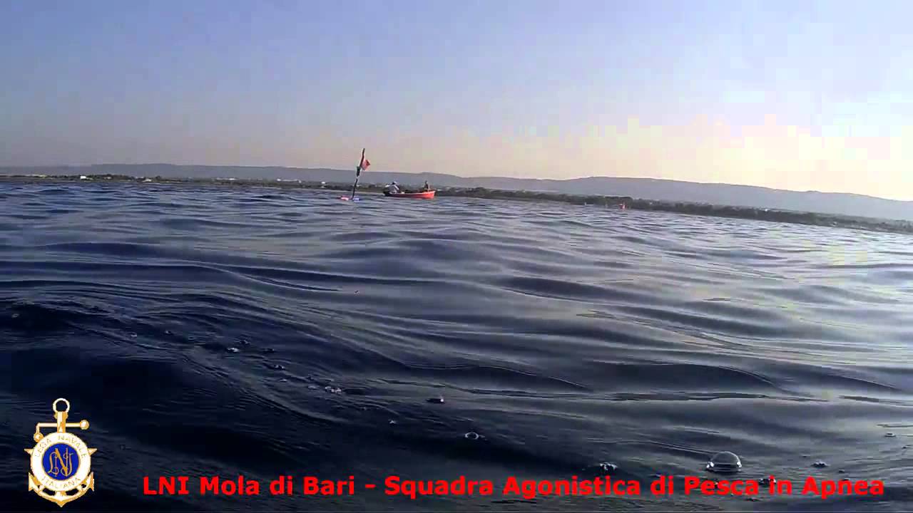 Chasse a trou  : Sars ( Ilario A )