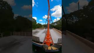 the continuous loop - TIGRIS 😅🎢 #rollercoaster #shorts #buschgardens @themepark360