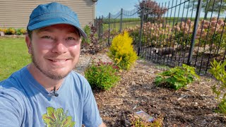 Ignore Plant Spacing Sometimes (Shrub Border Update) | The Southerner's Northern Garden