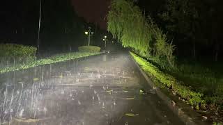 Beautiful Rain on a Peaceful Park Alley at Night   Heavy Rain Sounds for Sleep   Study and Relax
