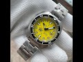 STEELDIVE SD1977T Turtle Watch 120 click unidirect rotational ceramic bezel AR coating watchdives
