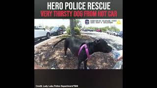 Hero Police Rescue Very Thirsty Dog from Hot Car