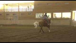 Lisa Werdaner - Wimpys Nena Step