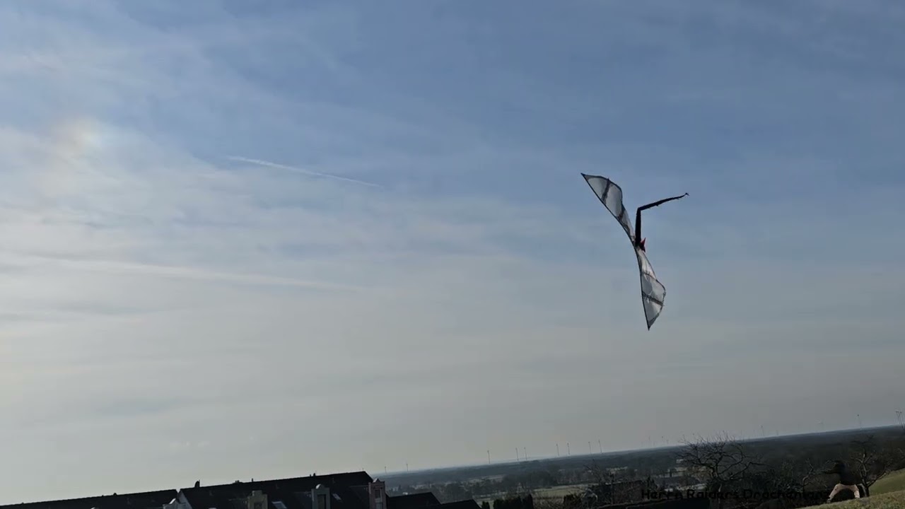 Revolution Dragon Kite ( Raiders Raiders Drachentanz)