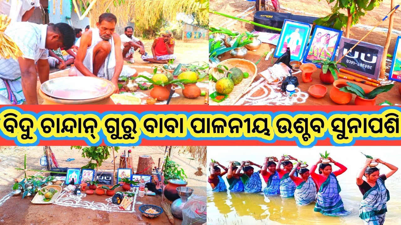 ବିଦୁ ଚାନ୍ଦାନ୍‌ 💐ପାଳନୀୟ ଉଶ୍ଚବ ସୁନାପଶି #biducandan festival #viralvideo#odiavolg@Banabirvloger