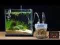 Make filter for mini fish tank