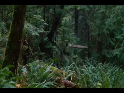 Andy Moor vs. Ashley Wallbridge feat. Meighan Nealon - Faces