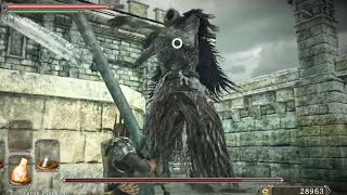 Memory of Jeigh & Giant Lord Boss | Dark Souls 2
