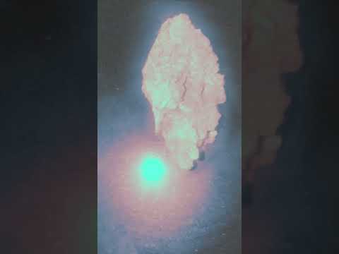 YOU BENJI SUMOSA SARA AGUILAR 