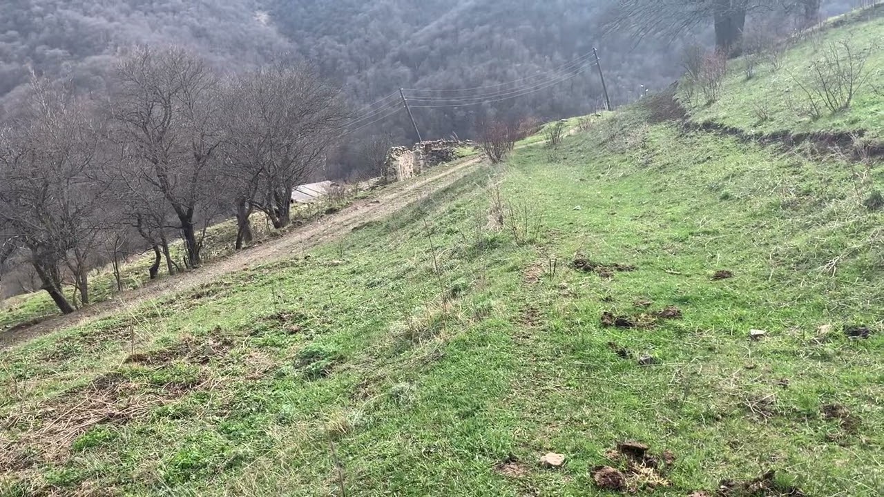 Գեղատափի անցյալը, ներկան և մեր ծրագրերը @mountainhighfarms