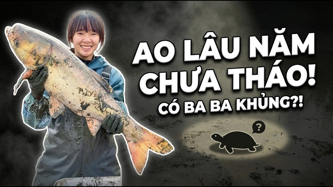 Chi 2000 TỆ Bao Ao Cá 3 Năm Chưa Tát, Kéo Lên Toàn Hàng Khung Khiến Chủ Ao Ngỡ Ngàng