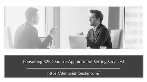 Revenue making Consulting B2B Leads or Appointment Setting Service!