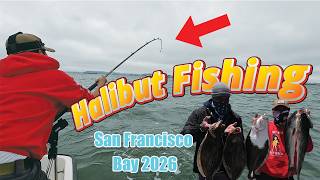 2026 Halibut Fishing San Francisco Bay Kickoff to the season!