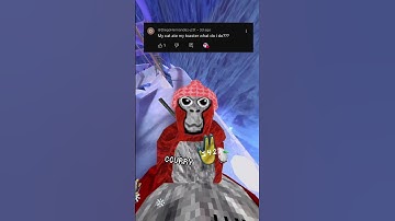 Responding To your Comments Pt 2! #gorillatag #gorillatagquest #gtag #vr