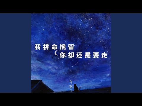 我拼命挽留你却还是要走