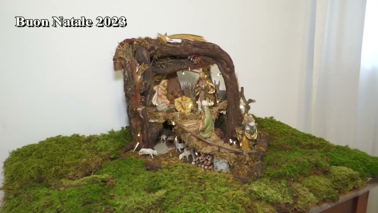 SPECIALI DEL TG  |  AUGURI DI NATALE 2023