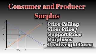 Micro6: Consumer and Producer Surplus in Economics | Price Ceiling | Floor Price | Deadweight Loss
