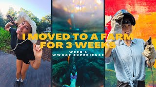 I Moved to a Farm for 3 Weeks - WWOOF Experience Week 1