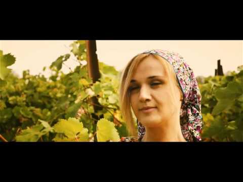 პროექტი რთველი 2013