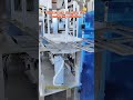 Pre-made Bag Collagen Peptide Powder Packaging Machine | Beauty Nutrition Packing Expert