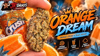 Thca small buds🍃Orange Dream🍊Does it smell like orange soda? #thcareview#tsb#thcareview#thcaflower