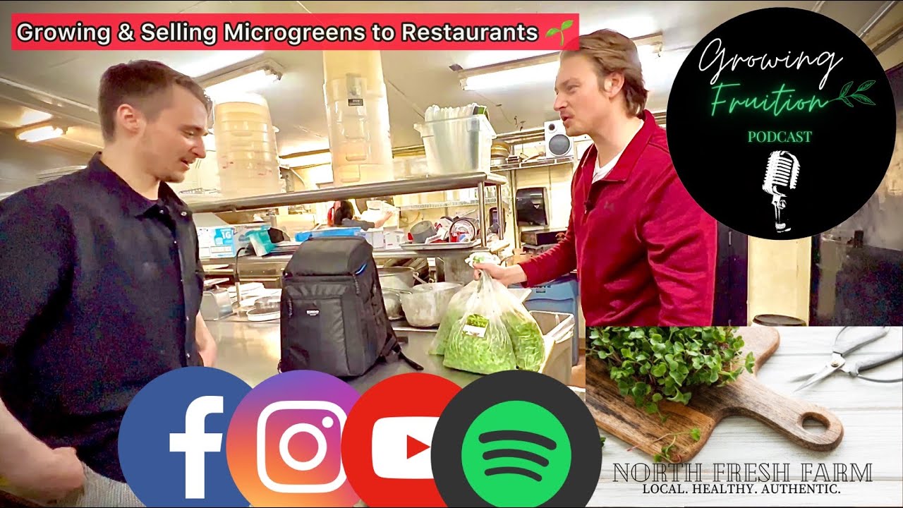 How to Grow & Sell Microgreens Local Restaurant Delivery Day North
