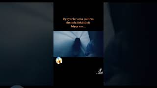 Film - Ölüm Ormanı - Ayı Var