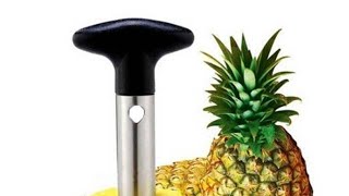 Stainless Steel Pineapple Peeler Cutter Slicer Corer