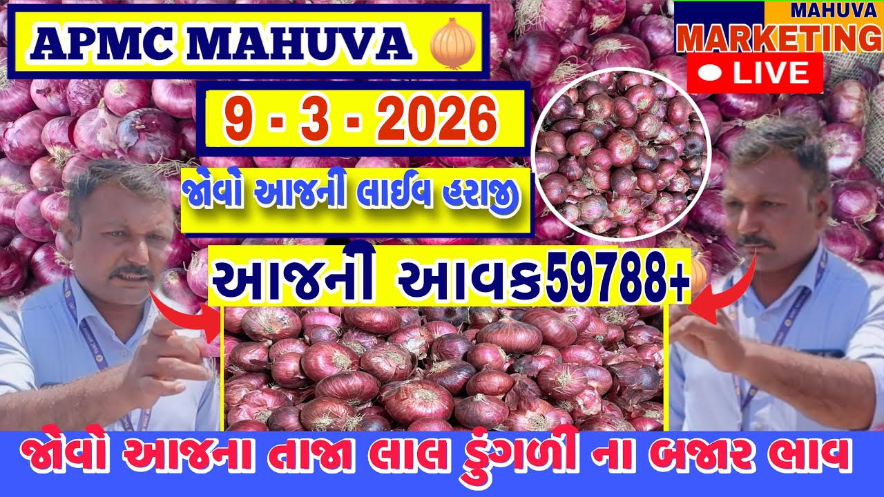 જોવો આજની લાલ ડુંગળી ની લાઈવ હરાજી | APMC MAHUVA | આજની આવક 56788+ થેલા આખી |