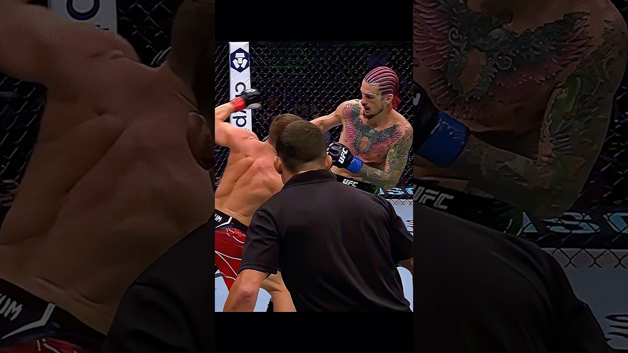 Petr Yan Striking Masterclass Against Sean O’Malley