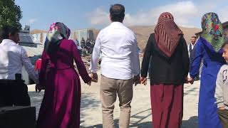 Erzurum Halayları